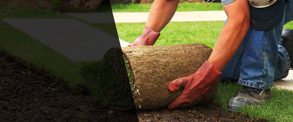 Caryville Landscapers